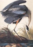John James Audubon Great Blue Heron painting